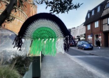 Wokingham town hall was decorated to mark the event. Pic: Andrew Batt.