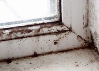 Wokingham Borough Council had just 10 complaints about mould in a year.