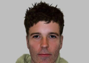E-fit
