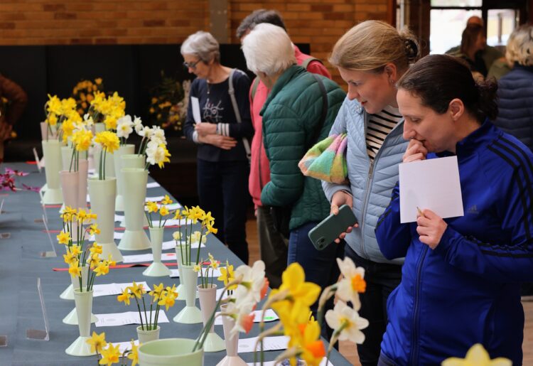 Twyford & Ruscombe Horticultural Association's Spring Show made a colourful start to the group's 70th anniversary year. Picture: TRHA