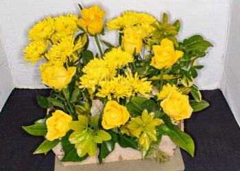 Visitors to WHA's Spring Show were greeted with perfume from the spring flowers that filled St Paul's Parish Hall. PIcture: Graham Breadmore