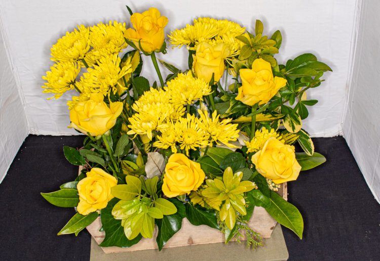 Visitors to WHA's Spring Show were greeted with perfume from the spring flowers that filled St Paul's Parish Hall. PIcture: Graham Breadmore