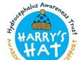 Harry's Hat