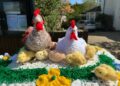 Easter toppers in Hurst