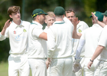 Wokingham Cricket