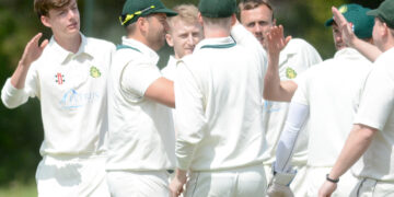 Wokingham Cricket