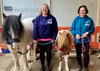Luca and Seguro, SAFE mascots, helped to advertise the charity's summer fun day in July. Picture: Emma Merchant