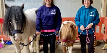 Luca and Seguro, SAFE mascots, helped to advertise the charity's summer fun day in July. Picture: Emma Merchant