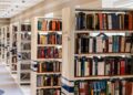 Library Picture: Pixabay