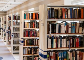 Library Picture: Pixabay
