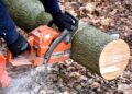 Tree cutting Picture: Pixabay