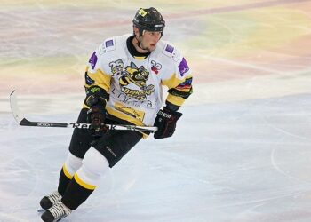 Bracknell Bees Ice Hockey Picture: Wikimedia Commons, davidgsteadman