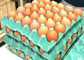 Maya's Refillables in Wokingham now sells fresh eggs from Stokes Farm, Binfield, which customers can take home in their own boxes. Picture: Maya's Refillables