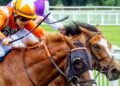 Racing at Newbury starts at 6.10pm tomorrow evening. Pic: Andrew Batt.