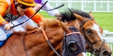 Racing at Newbury starts at 6.10pm tomorrow evening. Pic: Andrew Batt.
