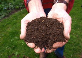 Neil Gray of Melcourt Industries Ltd will dig into the subject of peat-free compost at California Gardeners' Club's June meeting. Picture: Joke vander Leij via Pixabay