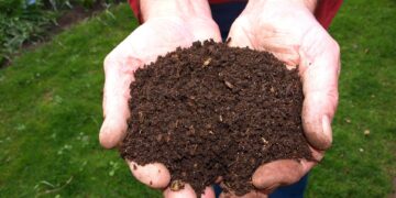 Neil Gray of Melcourt Industries Ltd will dig into the subject of peat-free compost at California Gardeners' Club's June meeting. Picture: Joke vander Leij via Pixabay