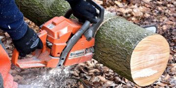 Tree felling Picture: Pixabay