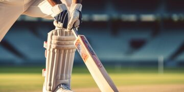 Cricket Picture: Pixabay