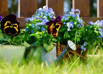 Members of Twyford and Ruscombe Horticultural Association will be selling plants at their garden store on June 1.Picture: congerdesign via Pixabay