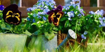 Members of Twyford and Ruscombe Horticultural Association will be selling plants at their garden store on June 1.Picture: congerdesign via Pixabay