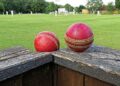 Cricket Picture: Wikimedia Commons