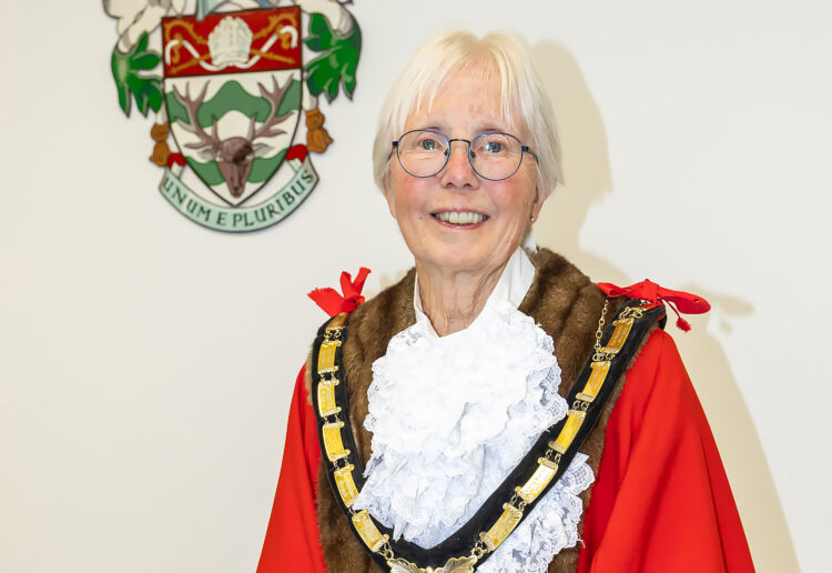 Cllr Carol Jewell. pic: Stewart Turkington.