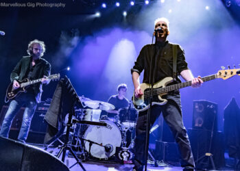 Wokingham Festival Pictures: Andrew Merritt