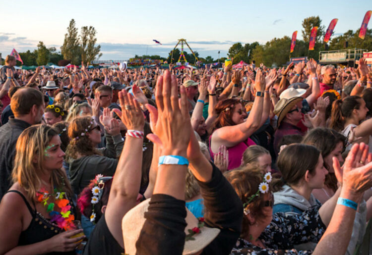 Marvellous is a tribute act festival. Pic: WBC.