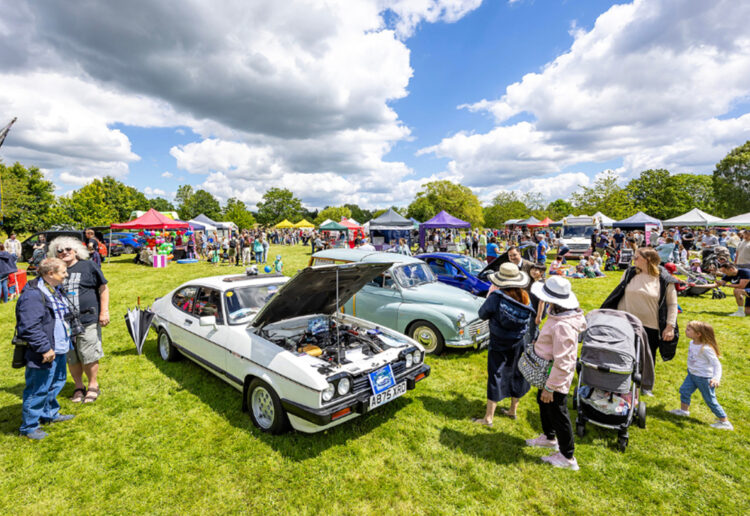 The event is at Dinton Pastures Country Park..