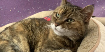 Pippa, 20-years-old, is fronting the campaign.