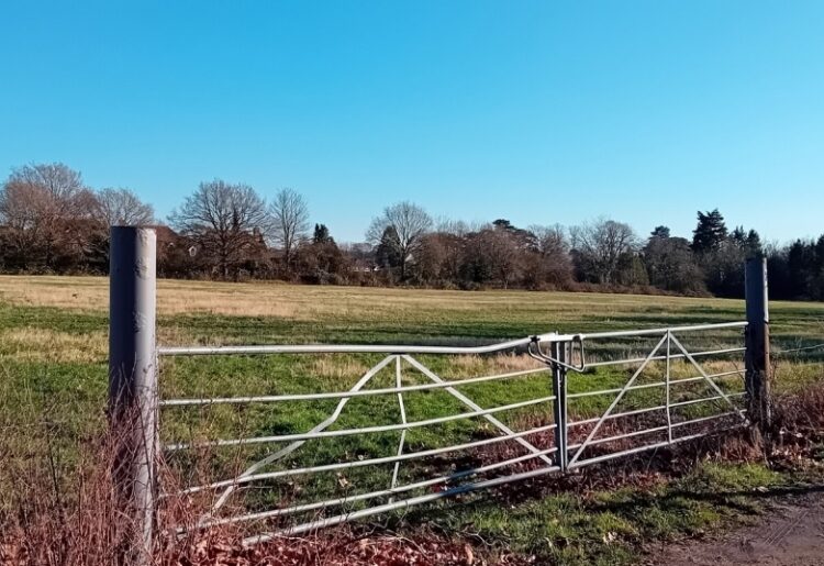 Land at Bridge Farm, Twyford, Pic: Croudance Homes.