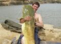 The picture shows  whopping 141lb Wels catfish that Simon, a Wokingham countryside officer, caught whilst on a trip to Spain. Pic: WBC.