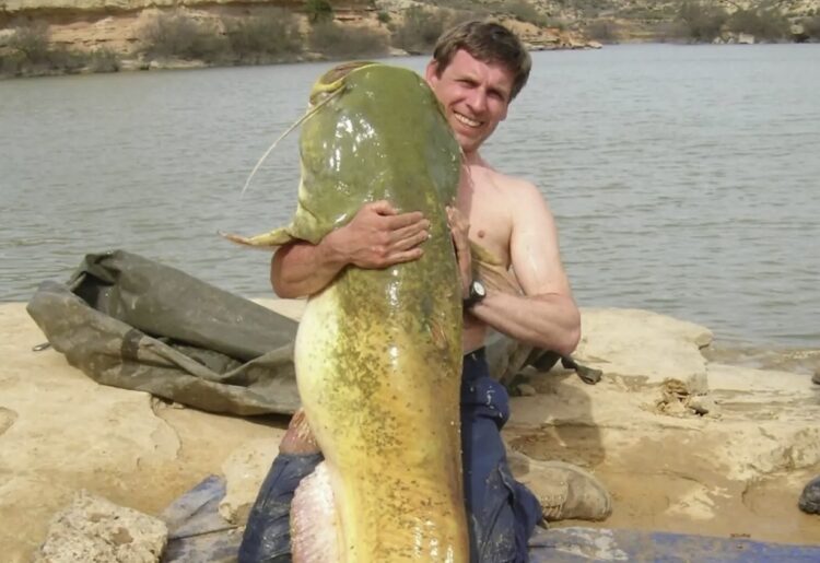 The picture shows  whopping 141lb Wels catfish that Simon, a Wokingham countryside officer, caught whilst on a trip to Spain. Pic: WBC.