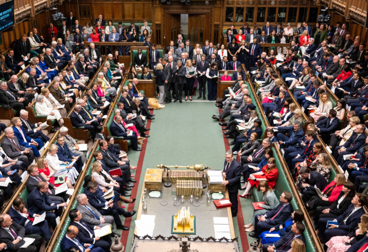 In the historic vote last week, MPs approved a bill. Pic: House of Commons.