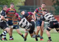 Rams Picture: Tim Pitfield