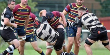 Rams Picture: Tim Pitfield