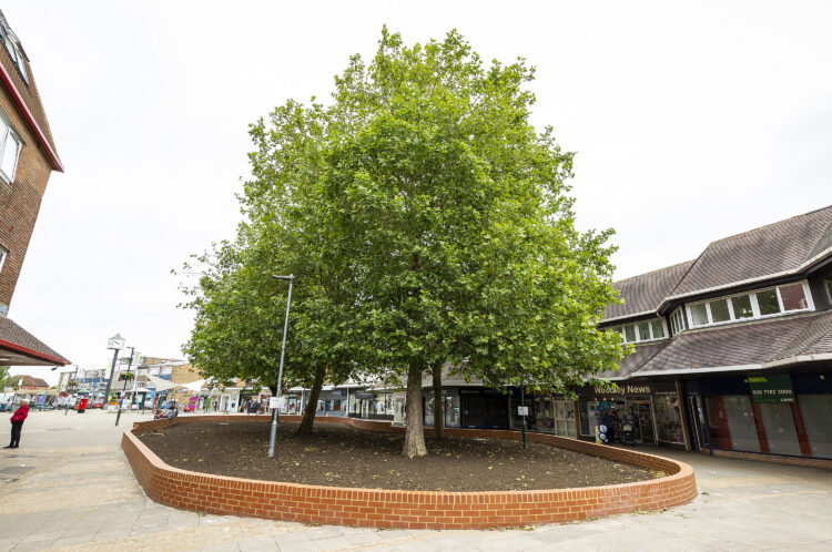 PIC BY STEWART TURKINGTON
 www.stphotos.co.uk