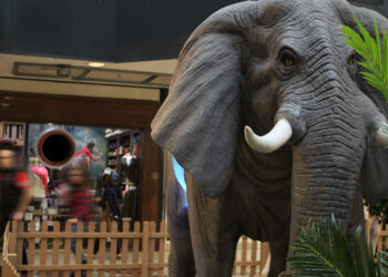 Visitors can come face to face with life-size animal recreations.