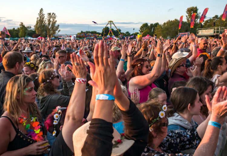 Marvellous is a tribute act festival. Pic: WBC.