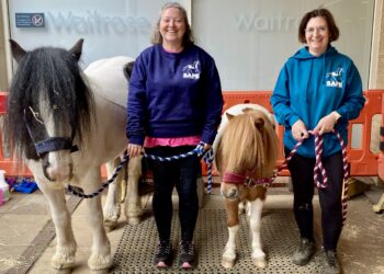 Luca and Seguro, SAFE mascots, helped to advertise the charity's summer fun day in July. Picture: Emma Merchant