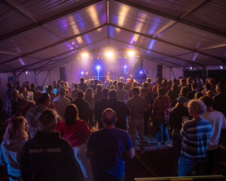 Wokingham Festival 2025 Picture: Andrew Merritt