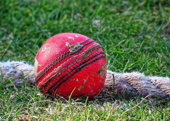 Cricket Picture: Wikimedia Commons