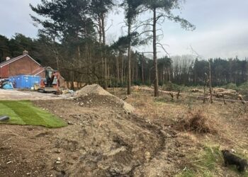 Tree felling in Beaufort Park