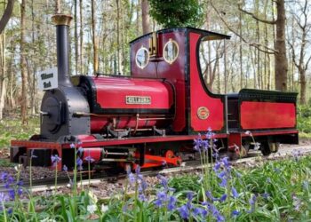 Pinewood Miniature Railway is open for family rides on the third Sunday of the month through to October. Picture: WBCouncil