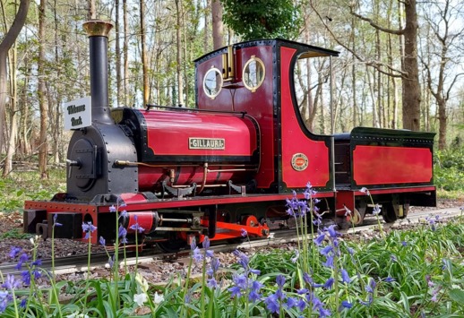 Pinewood Miniature Railway is open for family rides on the third Sunday of the month through to October. Picture: WBCouncil