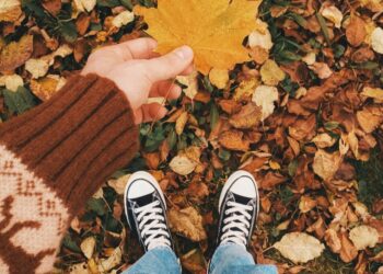 Enjoy an autumn walk with Dinton Walking Group. Picture: Eugene Golovesov via Unsplash