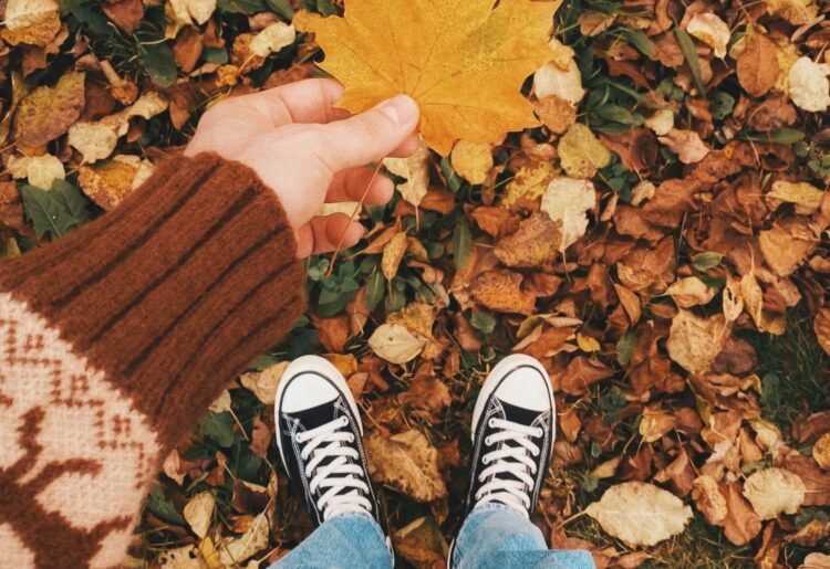 Enjoy an autumn walk with Dinton Walking Group. Picture: Eugene Golovesov via Unsplash