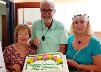 California Gardeners Club's Diamond Anniversary Autumn Show enjoyed a record number of entries despite a scorching summer growing period. Pictures: CGC