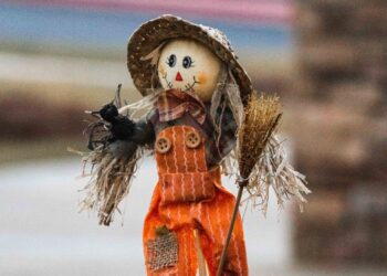 Find 60 scarecrows in Binfiled during half term. Picture: Eric Deeran via Unsplash